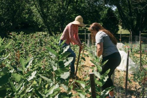 Digging and aerating rows